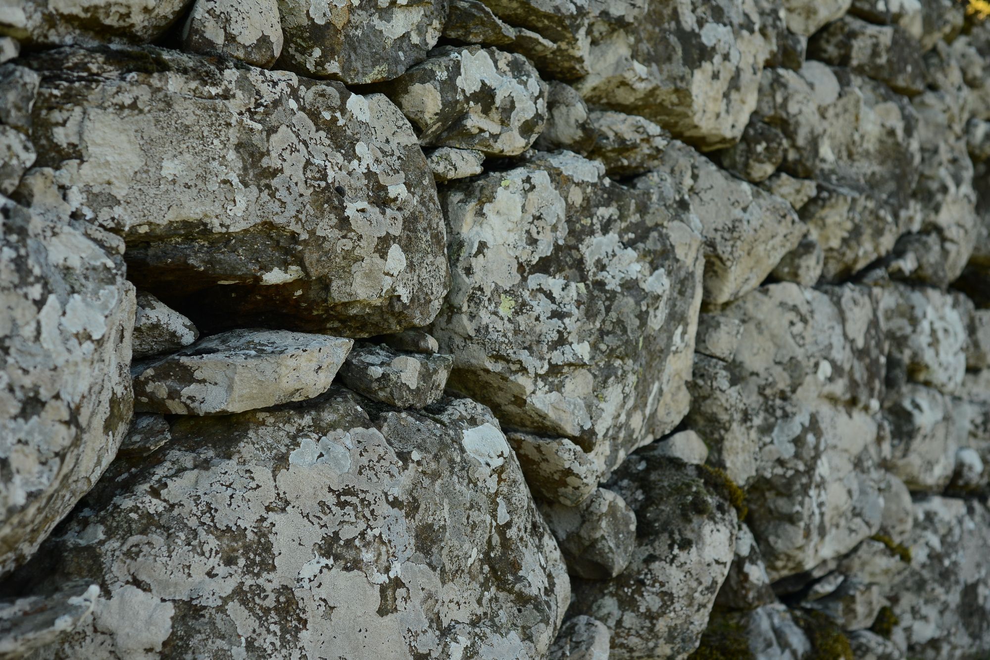 Tolle Mauer Tolle Mauer