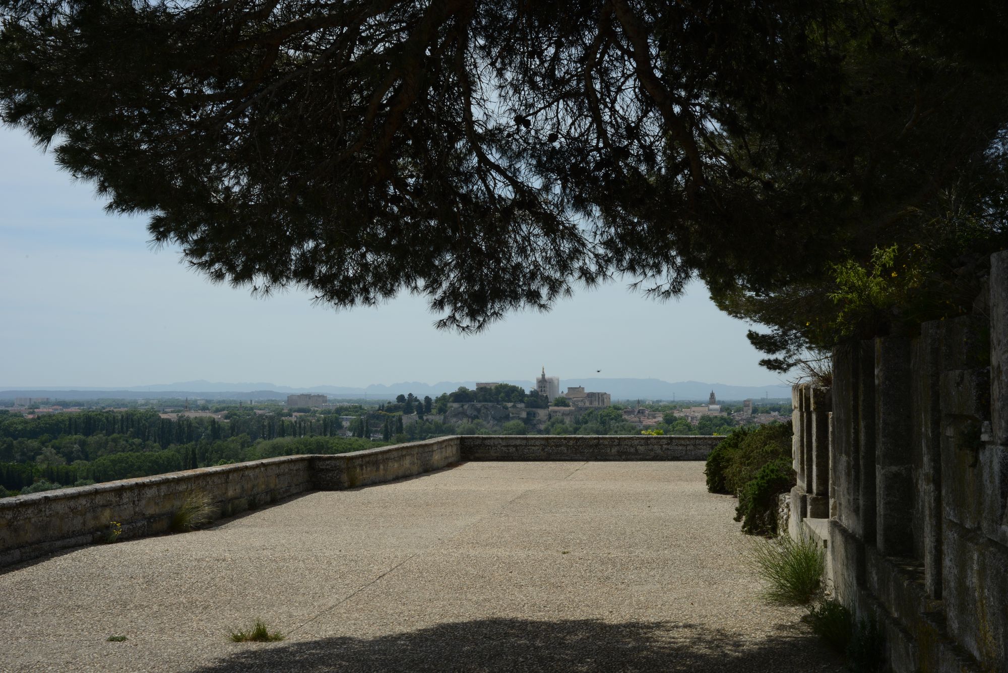 Blick 'rüber' nach Avignon Blick 'rüber' nach Avignon