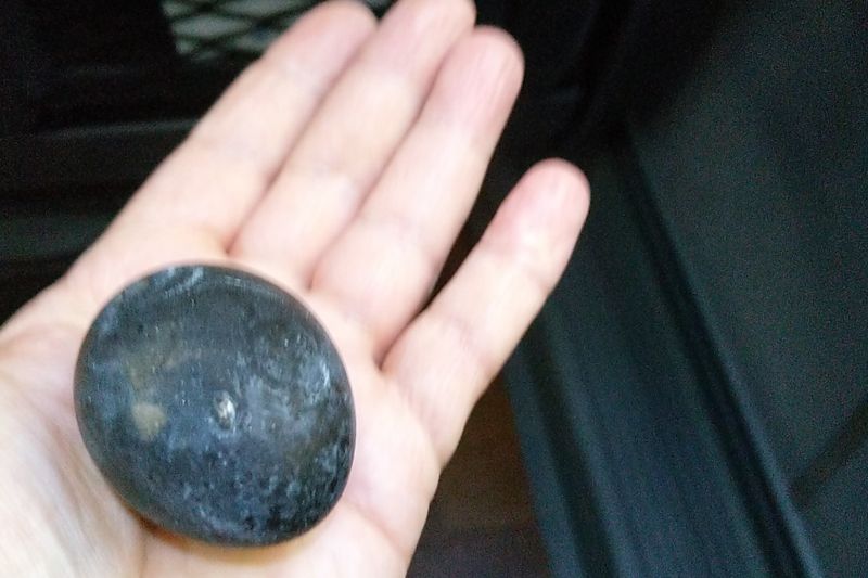 Schwarzes Ei verwackelt im Bus Schwarzes Ei verwackelt im Bus