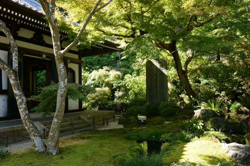 Der Garten ist wirklich sehr schön Der Garten ist wirklich sehr schön