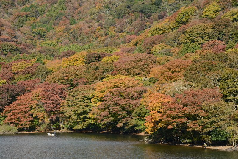 Einfach toll das Herbstlaub - Glück muss man haben Einfach toll das Herbstlaub - Glück muss man haben