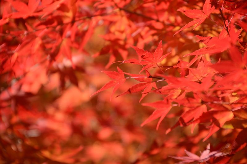 Wow! Was für Farben! Wow! Was für Farben!