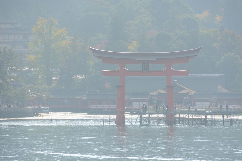 Das Torii im Gegenlicht Das Torii im Gegenlicht