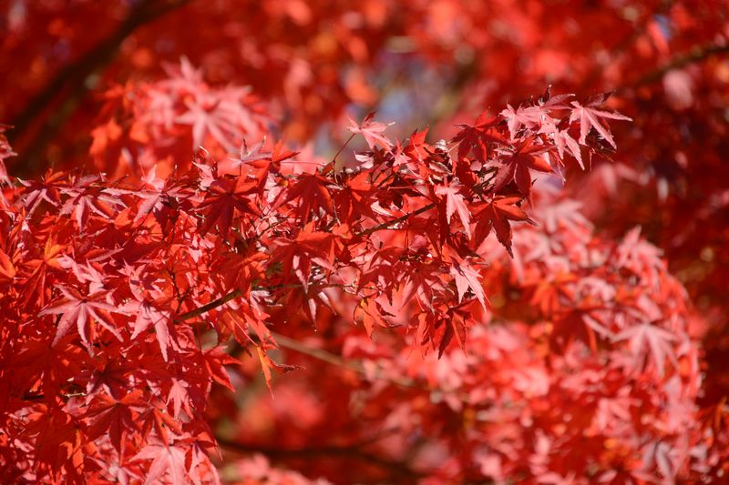 Licht und Farben - toll Licht und Farben - toll