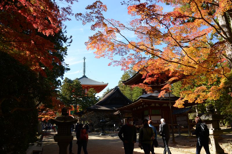 Die große Pagode Kompon Daitō Die große Pagode Kompon Daitō