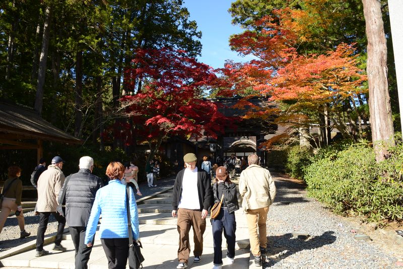Weiter geht es zum Kongōbu-Tempel Weiter geht es zum Kongōbu-Tempel