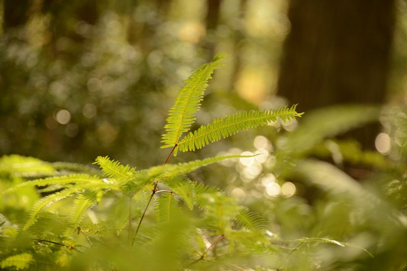 Licht zum fotografieren ist auch manchmal da Licht zum fotografieren ist auch manchmal da