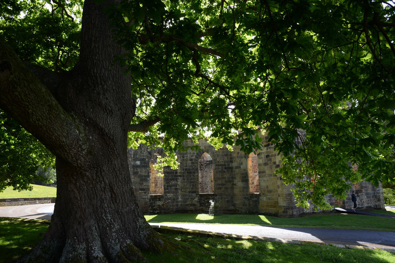 In Port Arthur In Port Arthur