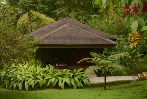 Unsere 'Hütte' Unsere 'Hütte'