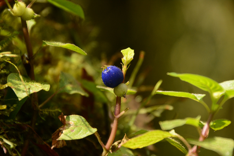 Was für eine Farbe! Was für eine Farbe!
