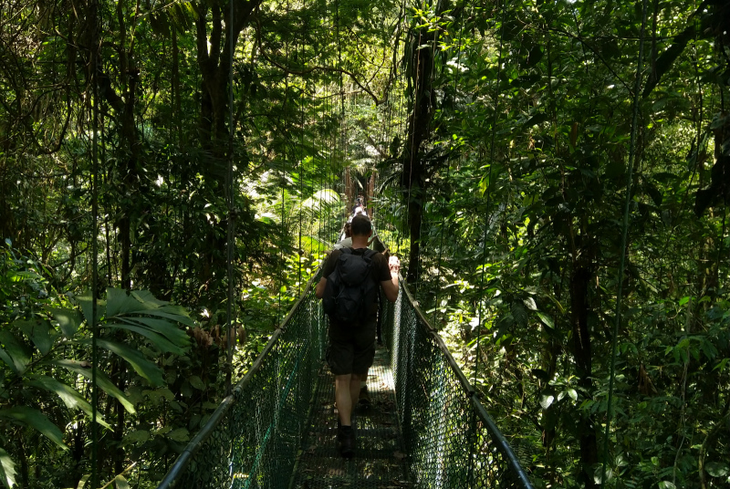 Rauf auf die Brücke Rauf auf die Brücke