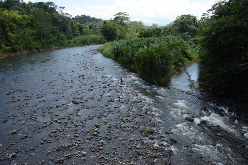 Der Rio Sarapiquí Der Rio Sarapiquí