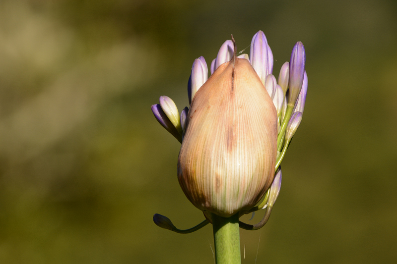 Elke schiesst sich warm Elke schiesst sich warm