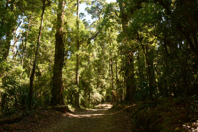 Ab jetzt wird es flacher Ab jetzt wird es flacher