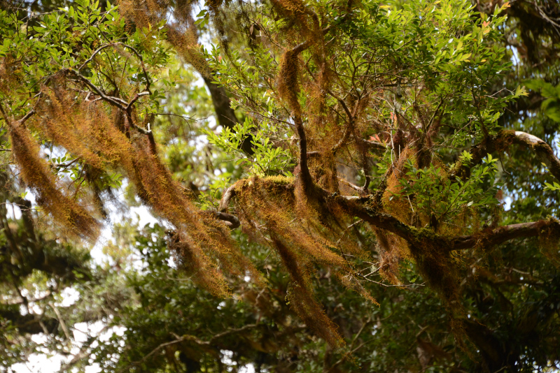 Scheint oft feucht zu sein Scheint oft feucht zu sein