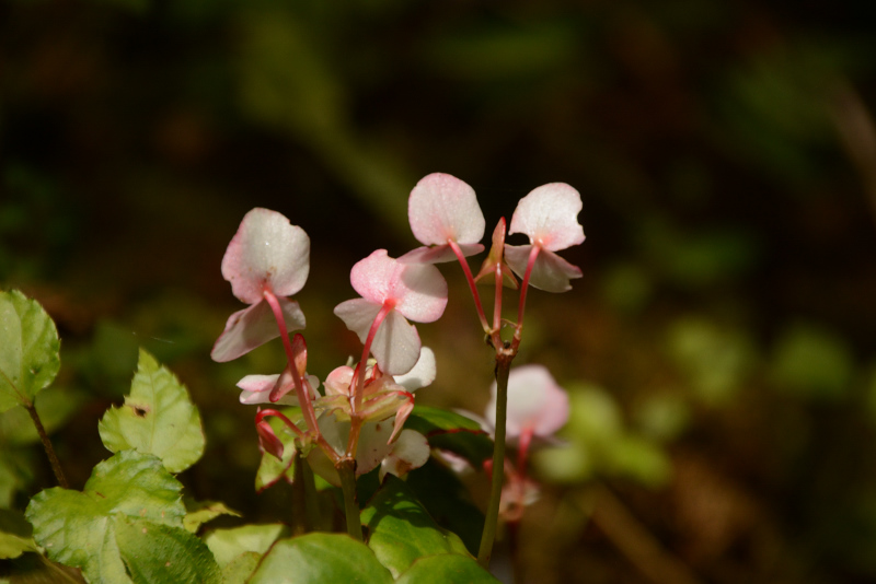 Manchmal sind es die Kleinigkeiten die auffallen Manchmal sind es die Kleinigkeiten die auffallen