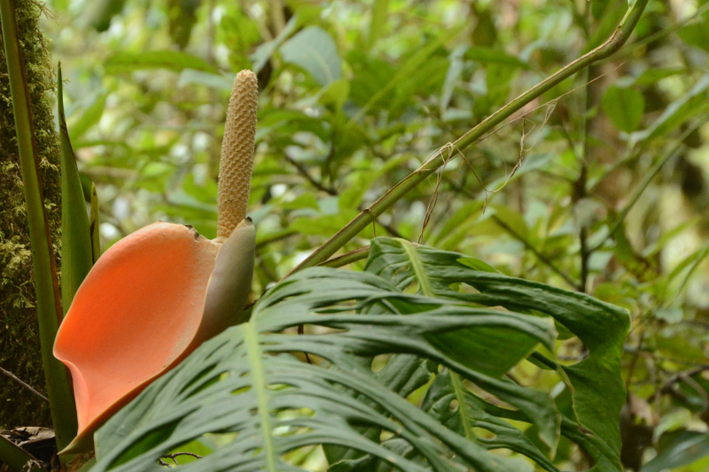 Hauptsache gesehen werden Hauptsache gesehen werden
