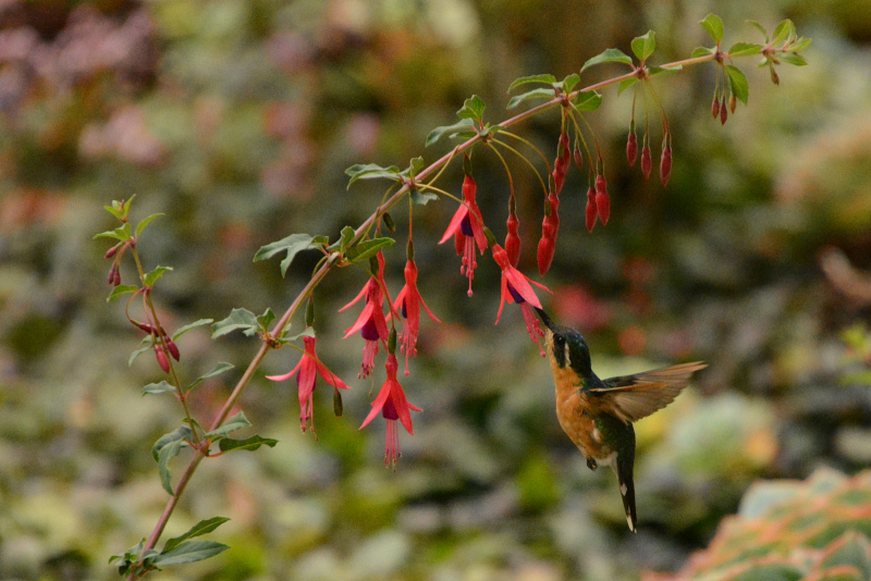 Die sind ja schon süß Die sind ja schon süß