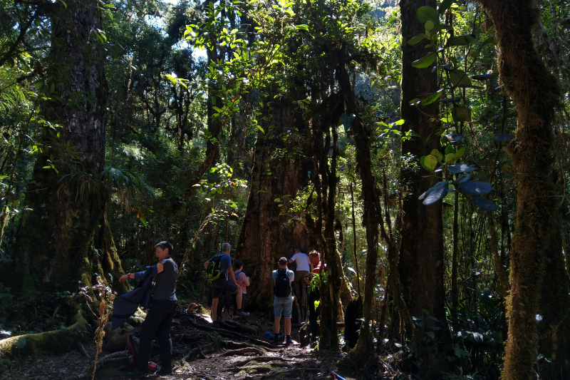 An der 1000-Jahre alten Eiche An der 1000-Jahre alten Eiche