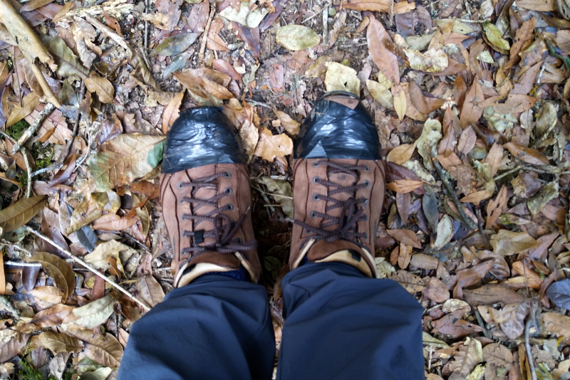 Lang hält das nicht mehr Lang hält das nicht mehr