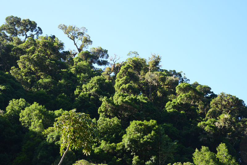 Das Wetter passt auch Das Wetter passt auch