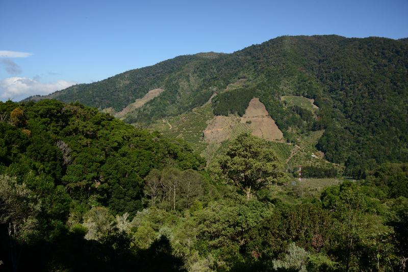 Die Aussicht an der Platform ist jetzt nicht soo dolle Die Aussicht an der Platform ist jetzt nicht soo dolle