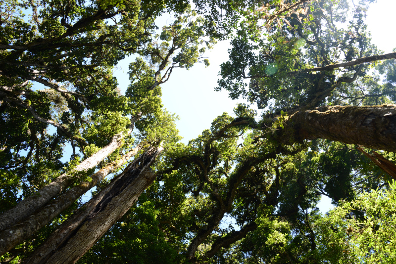 Ab und zu muss man mal den Blickwinkel ändern Ab und zu muss man mal den Blickwinkel ändern