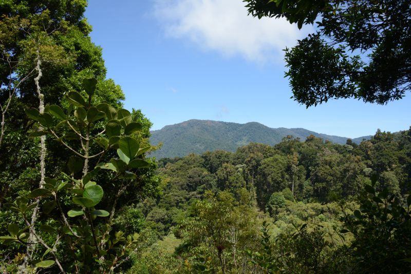 Selten kann man mal in die Ferne schauen Selten kann man mal in die Ferne schauen