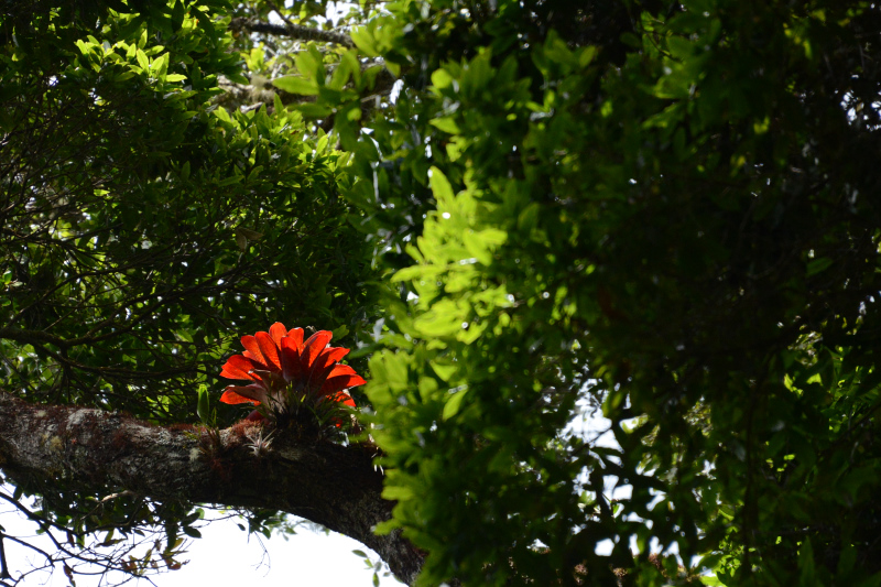 Noch so ein strahlender Farbtupfer Noch so ein strahlender Farbtupfer