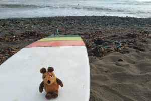 Surf-Maus Surf-Maus