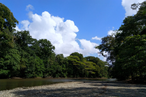 Der Rio Barú Der Rio Barú