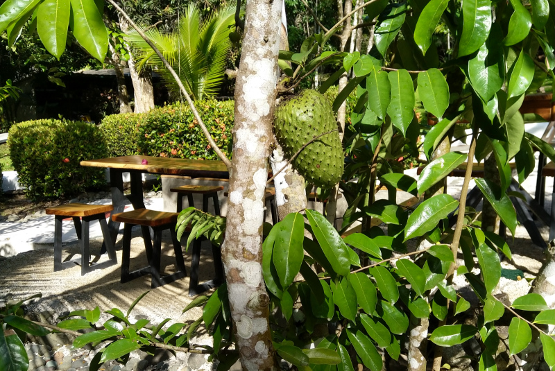 So sieht sie aus die 