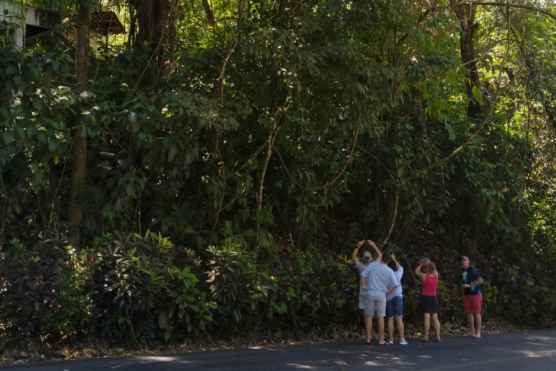 Erst sind es nur Wenige