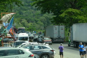 Die Krokos sind im Kasten