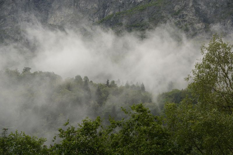 Nebel-'Wand' Nebel-'Wand'