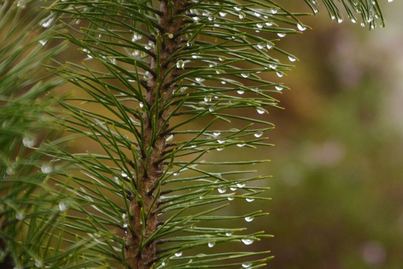 Wassertropfen sind immer wieder schön Wassertropfen sind immer wieder schön