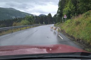 Gegenverkehr Gegenverkehr