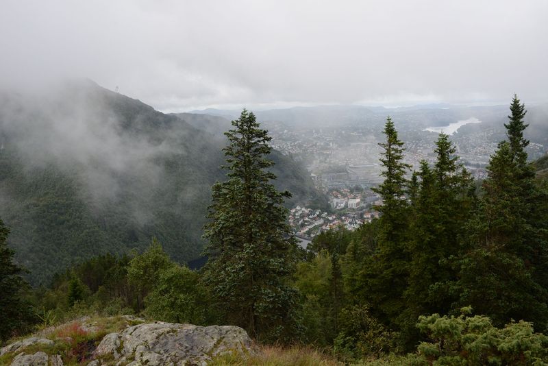 So langsam wird es besser So langsam wird es besser