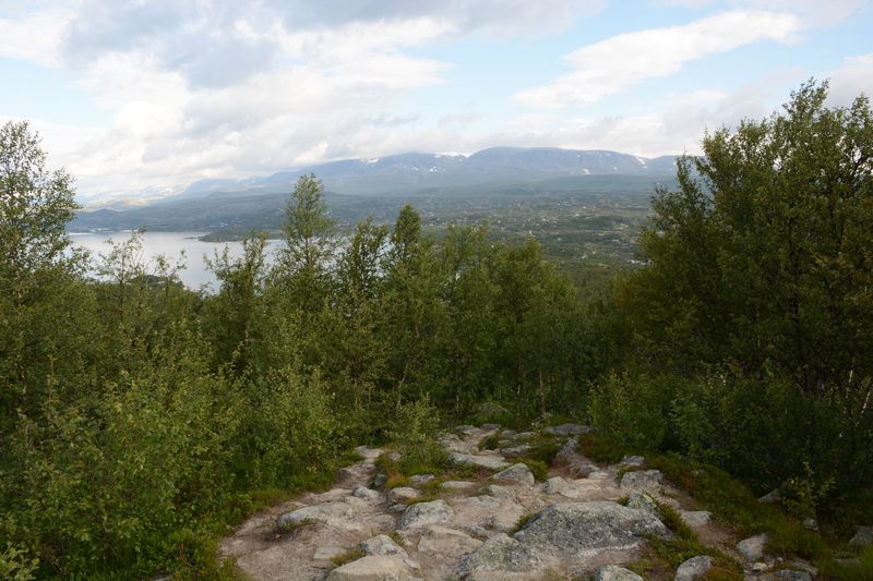 Der Weg scheint gut zu sein Der Weg scheint gut zu sein