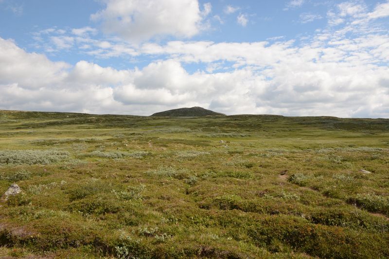Da oben ist der Gipfel Da oben ist der Gipfel