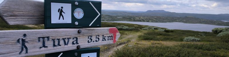 Auf einer Wanderung Auf einer Wanderung