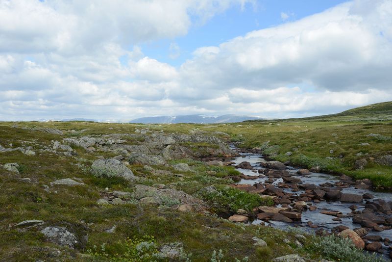 Manchmal muss man sich seinen Weg suchen Manchmal muss man sich seinen Weg suchen