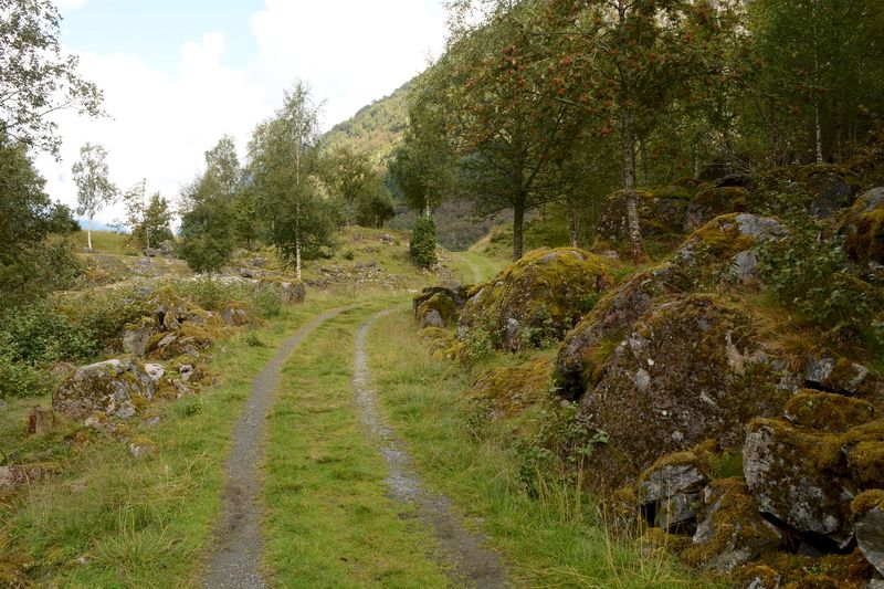 Schöner Weg und keine Menschenseele unterwegs Schöner Weg und keine Menschenseele unterwegs