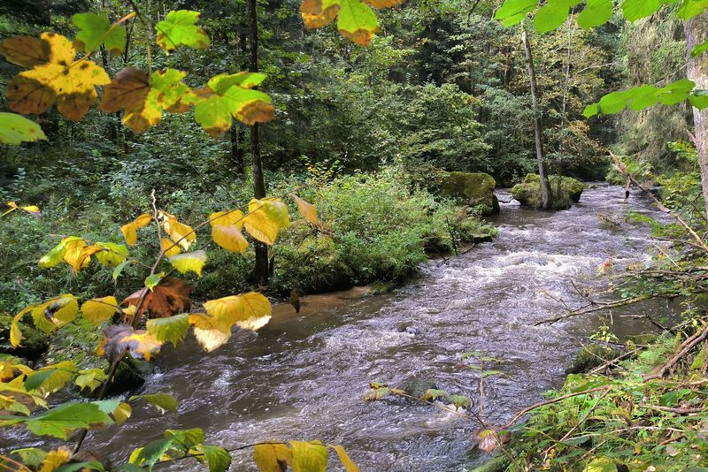 An der 'Mitternacher Ohe' entlang An der 'Mitternacher Ohe' entlang
