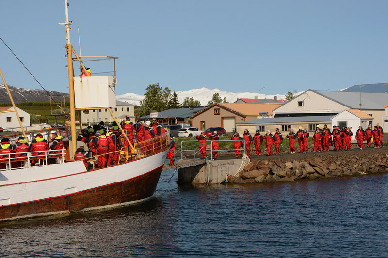 Im Hafen von Hauganes kann man Whalewatching buchen Im Hafen von Hauganes kann man Whalewatching buchen
