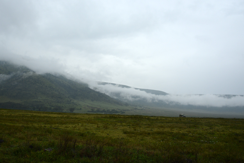 Echtes Safariwetter :-( Echtes Safariwetter :-(